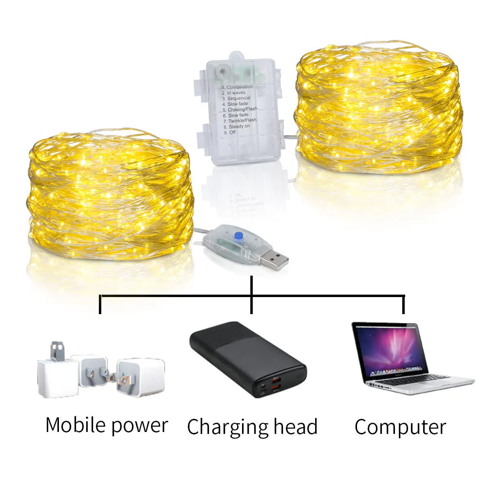 Silver Wire LED Fairy String Lights USB/Battery Box Remote Birthday Garland Christmas Lamps For Wedding Party Decor 5M 10M 20M