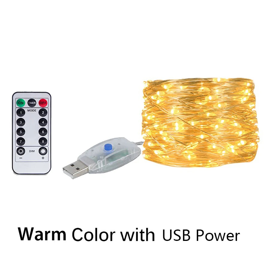 Silver Wire LED Fairy String Lights USB/Battery Box Remote Birthday Garland Christmas Lamps For Wedding Party Decor 5M 10M 20M