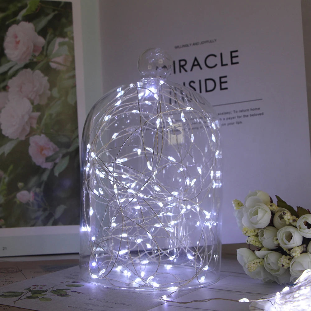 Silver Wire LED Fairy String Lights USB/Battery Box Remote Birthday Garland Christmas Lamps For Wedding Party Decor 5M 10M 20M