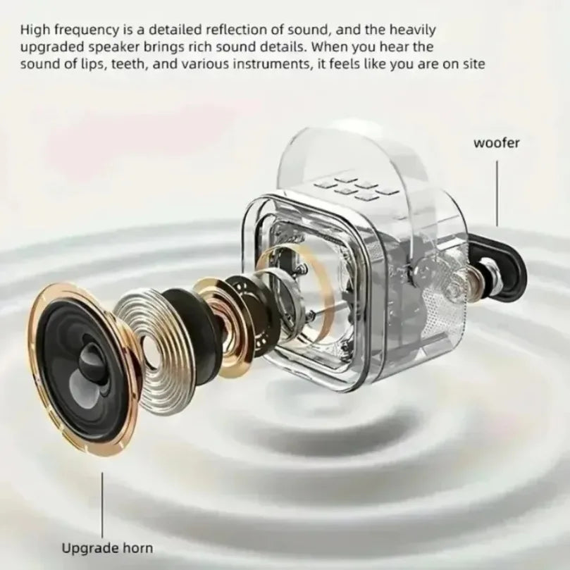 Portable Bluetooth 5.3 Speaker Karaoke Machine PA System with 2 Wireless Microphones Home Family Singing Children's Gifts